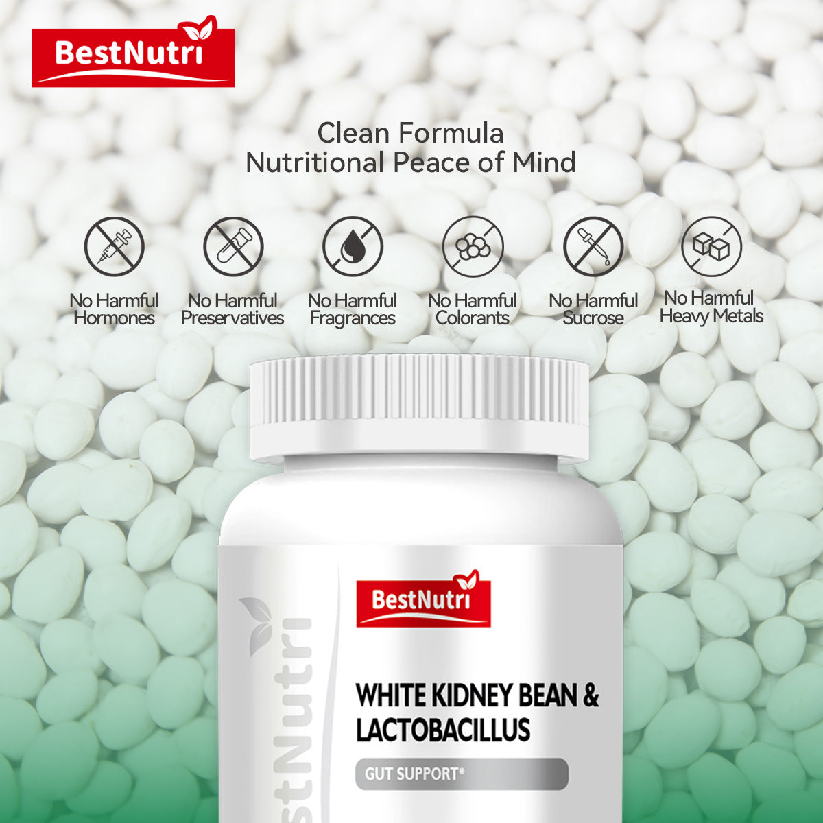 WHITE KIDNEY BEAN & LACTOBACILLUS