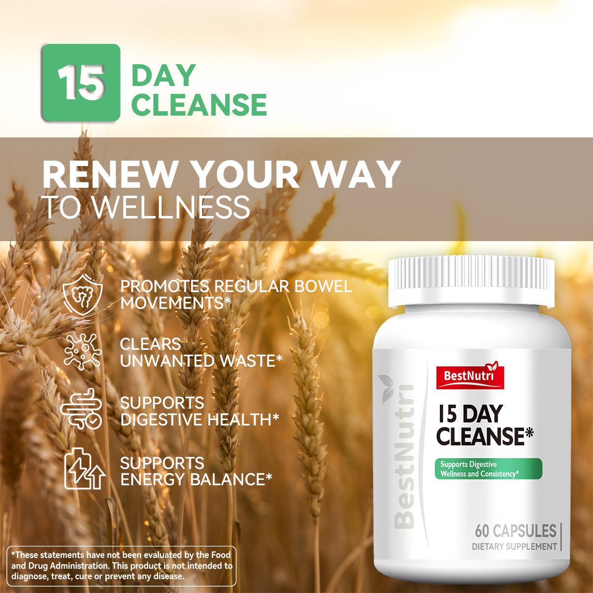 15 DAY CLEANSE
