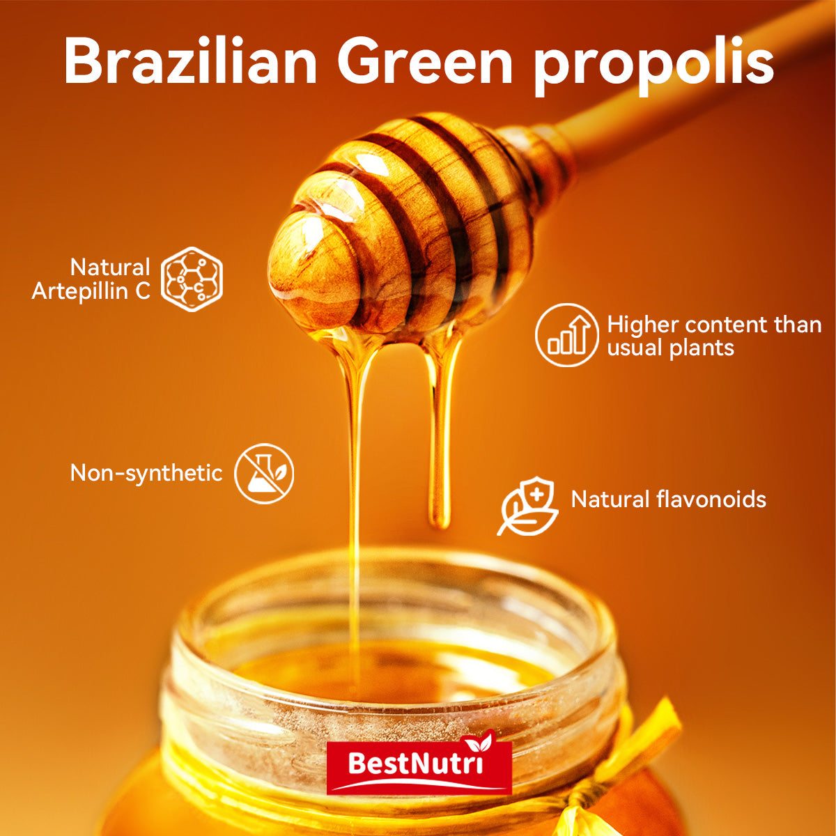PROPOLIS