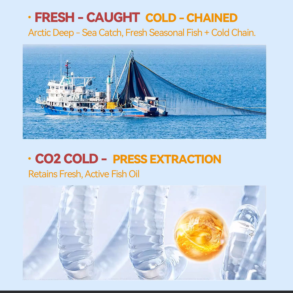 OMEGA-3   FISH OIL