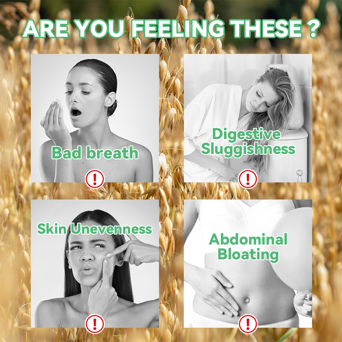 15 DAY CLEANSE